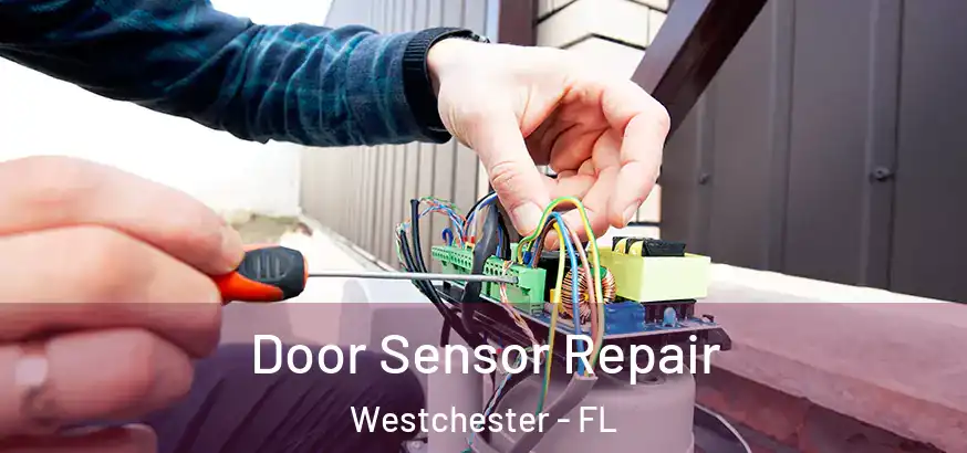  Door Sensor Repair Westchester - FL