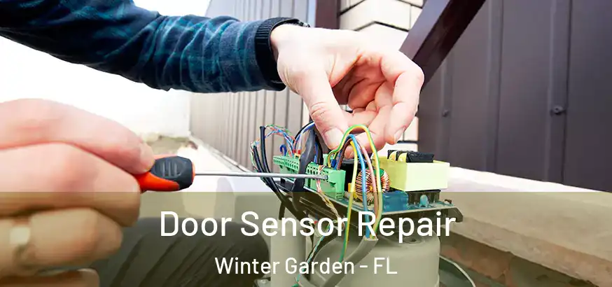 Door Sensor Repair Winter Garden - FL