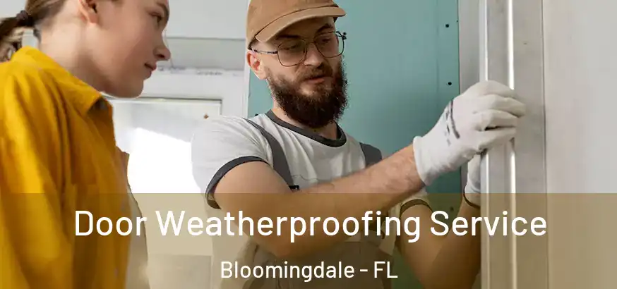  Door Weatherproofing Service Bloomingdale - FL