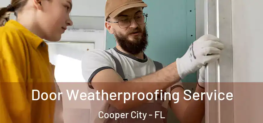 Door Weatherproofing Service Cooper City - FL