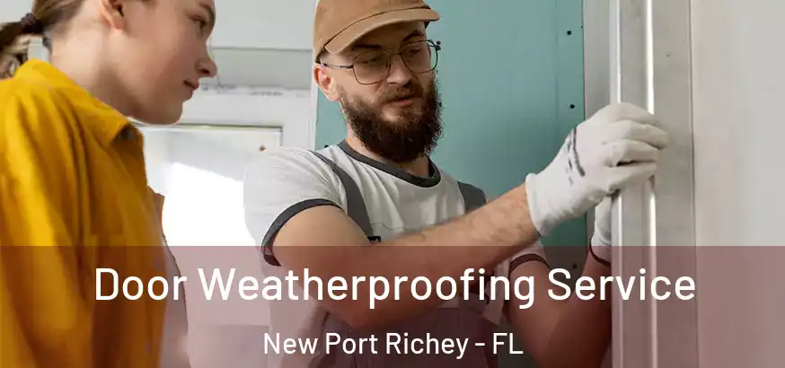  Door Weatherproofing Service New Port Richey - FL