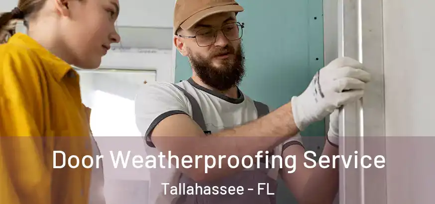 Door Weatherproofing Service Tallahassee - FL