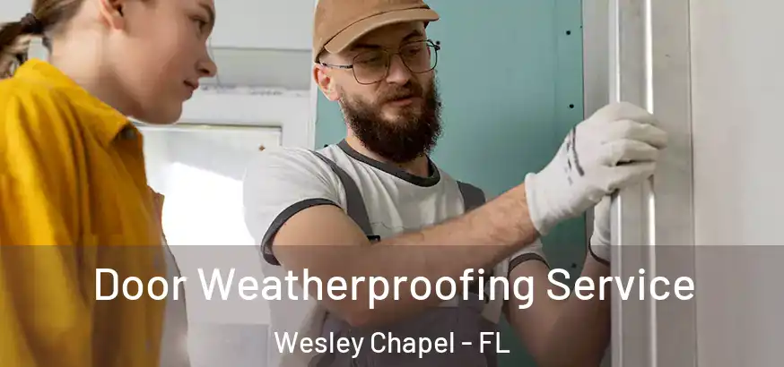  Door Weatherproofing Service Wesley Chapel - FL