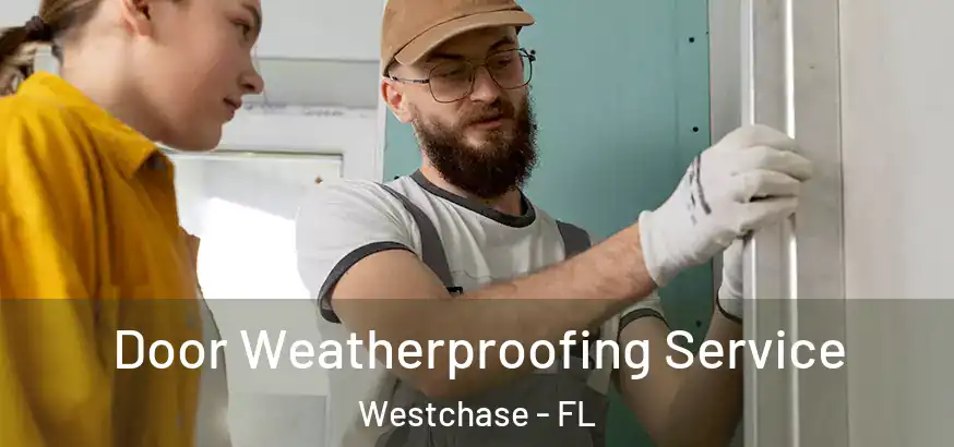  Door Weatherproofing Service Westchase - FL