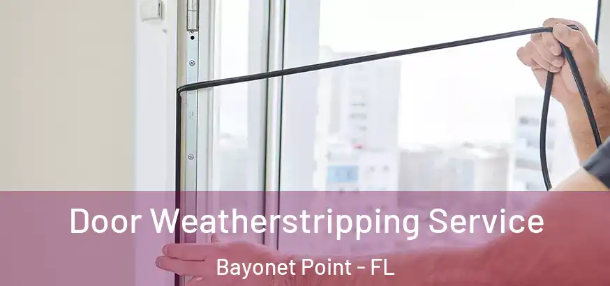  Door Weatherstripping Service Bayonet Point - FL