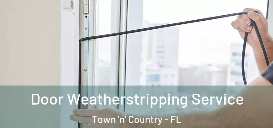  Door Weatherstripping Service Town 'n' Country - FL