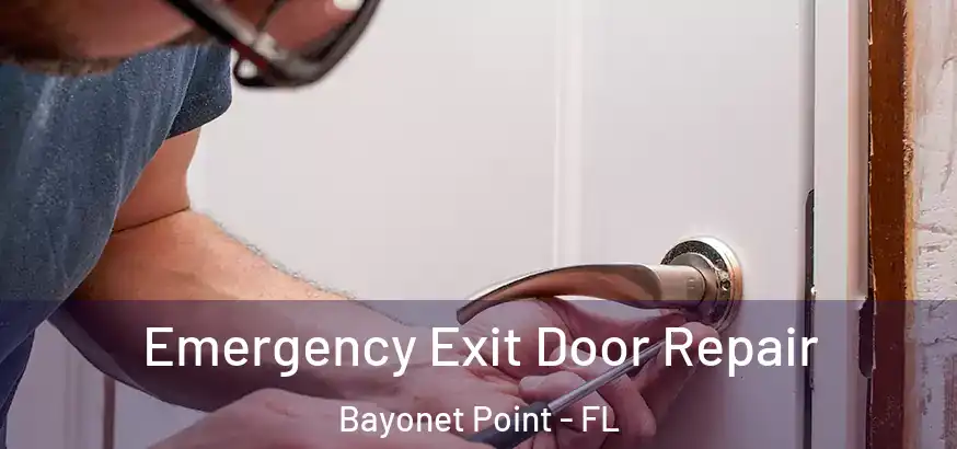  Emergency Exit Door Repair Bayonet Point - FL