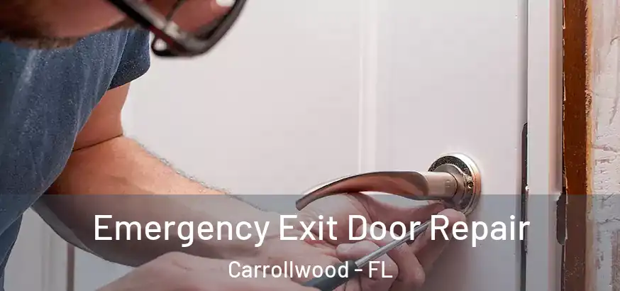Emergency Exit Door Repair Carrollwood - FL