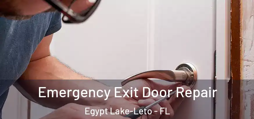  Emergency Exit Door Repair Egypt Lake-Leto - FL