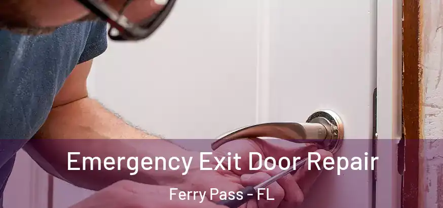  Emergency Exit Door Repair Ferry Pass - FL