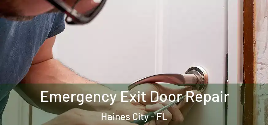  Emergency Exit Door Repair Haines City - FL