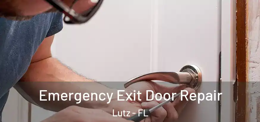 Emergency Exit Door Repair Lutz - FL