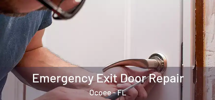  Emergency Exit Door Repair Ocoee - FL