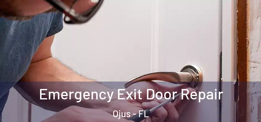  Emergency Exit Door Repair Ojus - FL