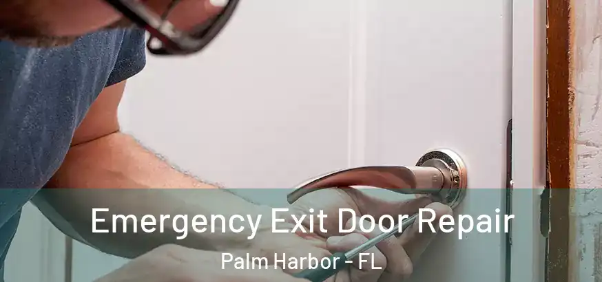  Emergency Exit Door Repair Palm Harbor - FL