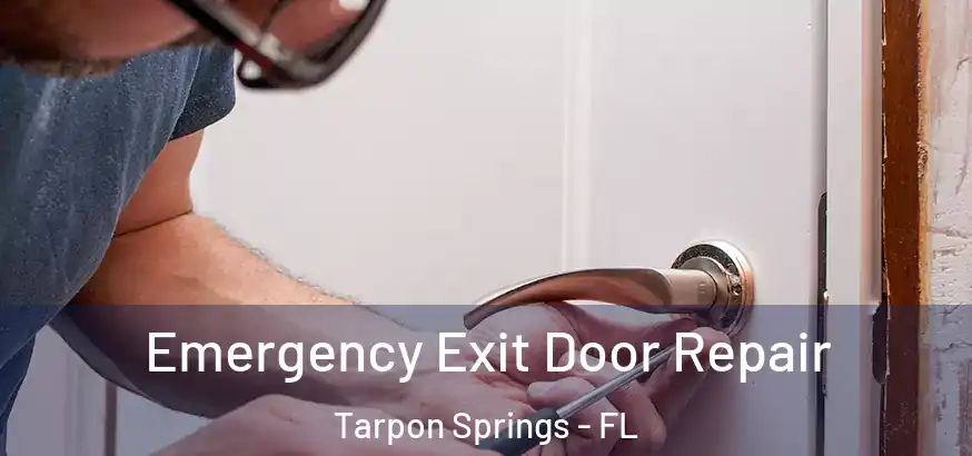  Emergency Exit Door Repair Tarpon Springs - FL