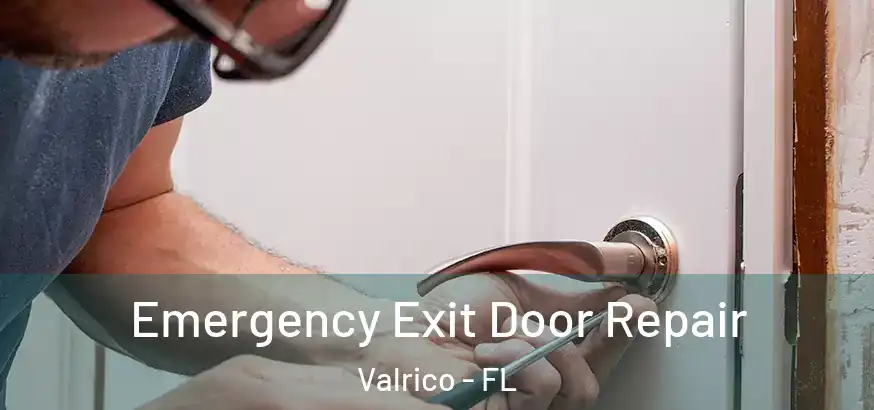  Emergency Exit Door Repair Valrico - FL