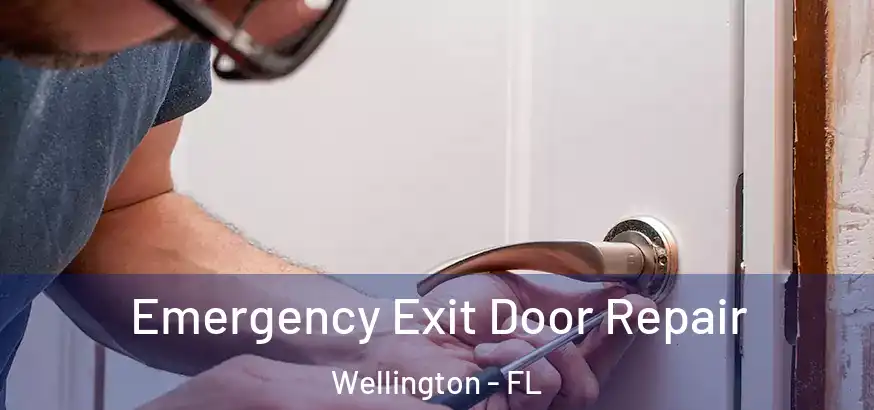  Emergency Exit Door Repair Wellington - FL