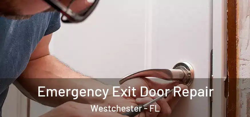  Emergency Exit Door Repair Westchester - FL