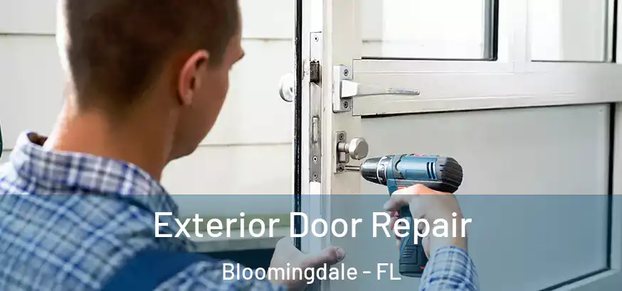  Exterior Door Repair Bloomingdale - FL