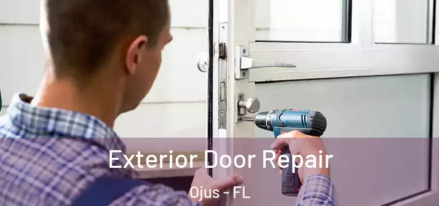 Exterior Door Repair Ojus - FL