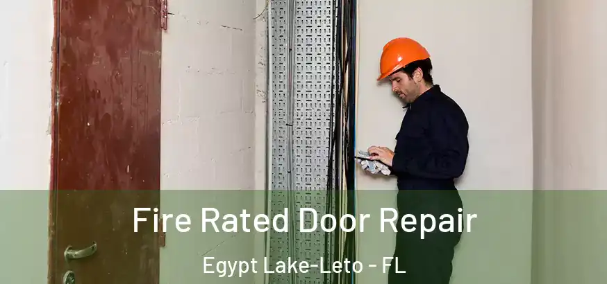 Fire Rated Door Repair Egypt Lake-Leto - FL