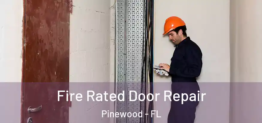 Fire Rated Door Repair Pinewood - FL