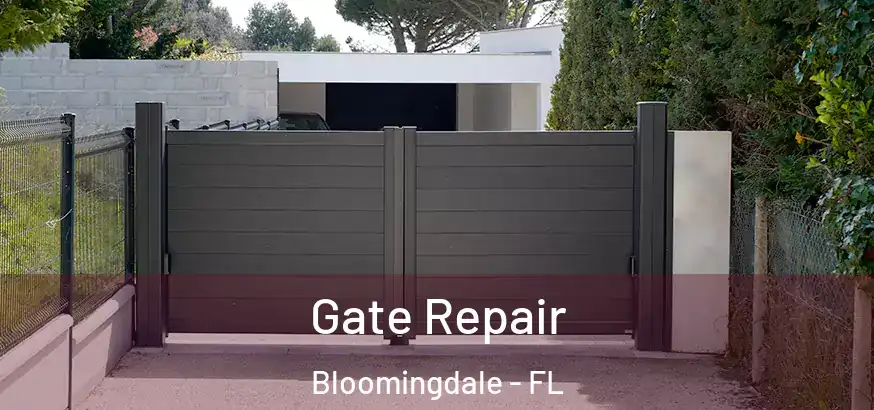  Gate Repair Bloomingdale - FL