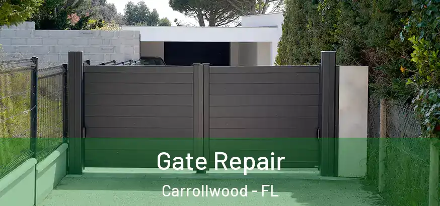  Gate Repair Carrollwood - FL