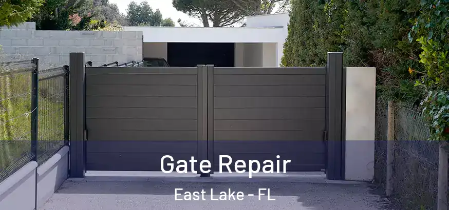  Gate Repair East Lake - FL