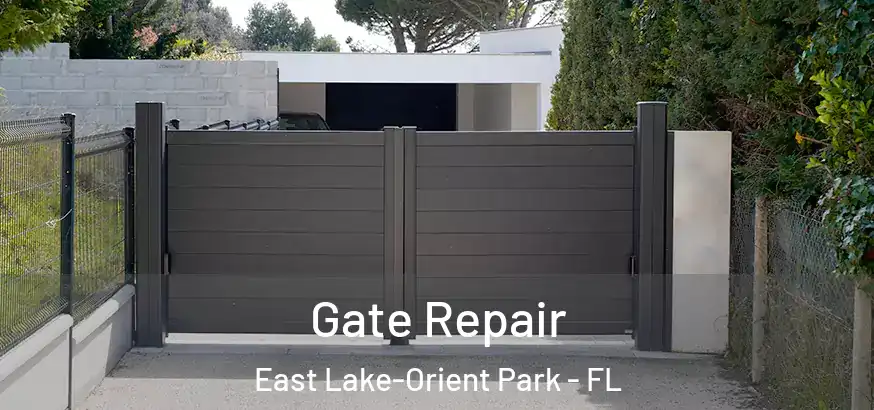  Gate Repair East Lake-Orient Park - FL
