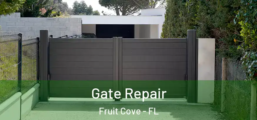  Gate Repair Fruit Cove - FL