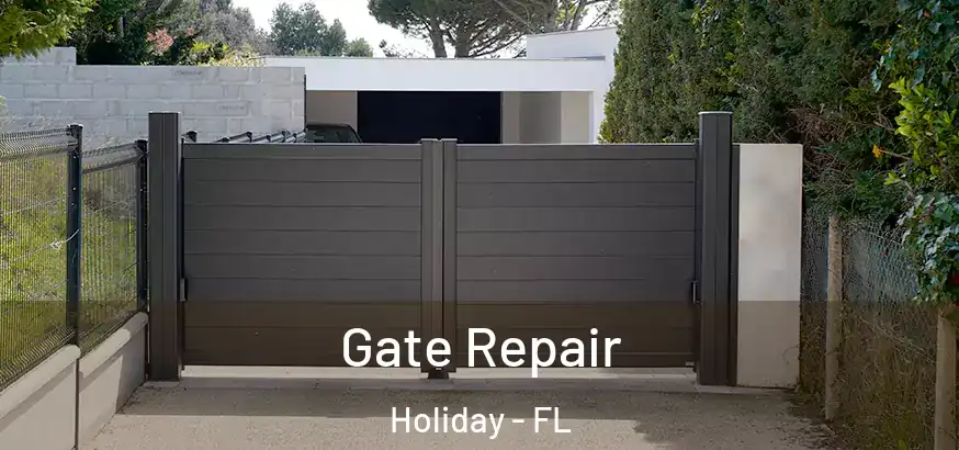  Gate Repair Holiday - FL