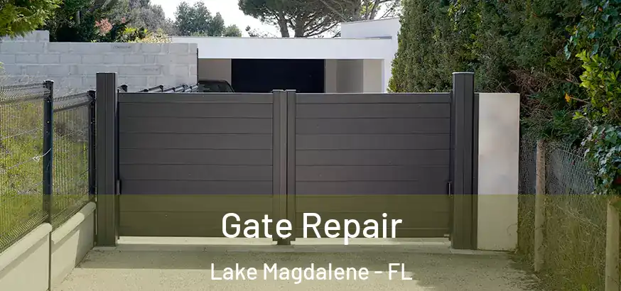  Gate Repair Lake Magdalene - FL