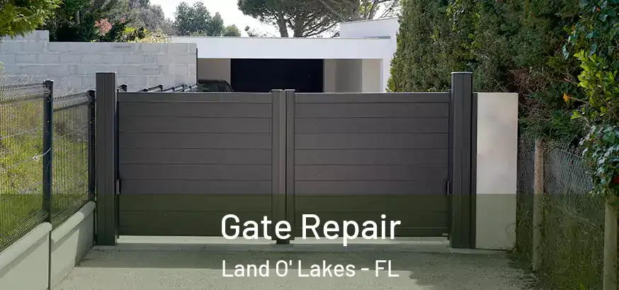  Gate Repair Land O' Lakes - FL