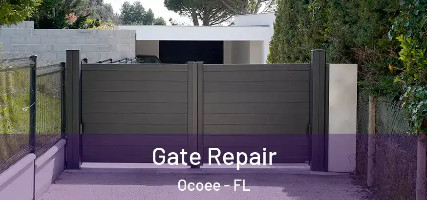  Gate Repair Ocoee - FL