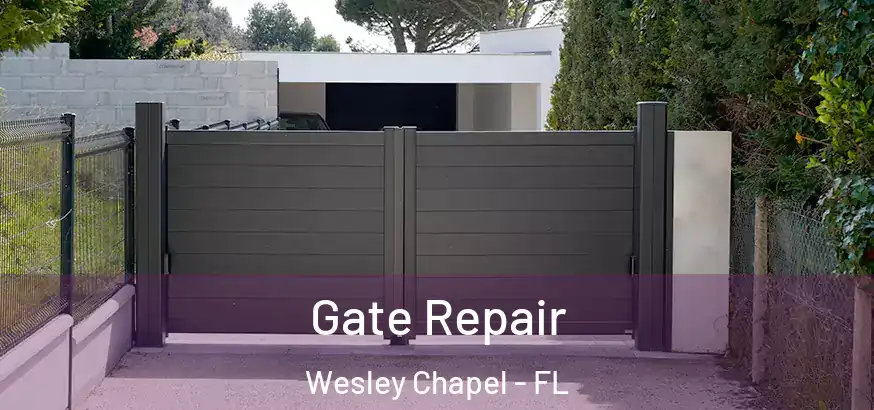  Gate Repair Wesley Chapel - FL
