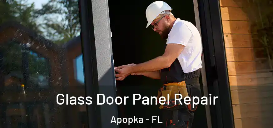 Glass Door Panel Repair Apopka - FL