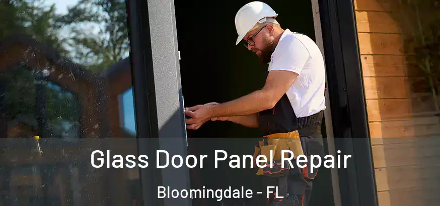  Glass Door Panel Repair Bloomingdale - FL