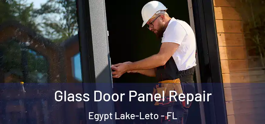  Glass Door Panel Repair Egypt Lake-Leto - FL