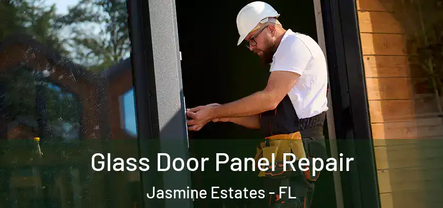 Glass Door Panel Repair Jasmine Estates - FL