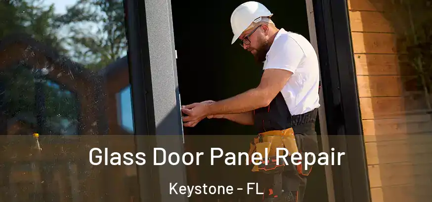  Glass Door Panel Repair Keystone - FL