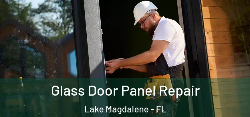 Glass Door Panel Repair Lake Magdalene - FL