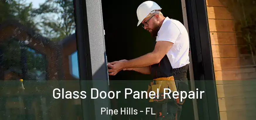  Glass Door Panel Repair Pine Hills - FL