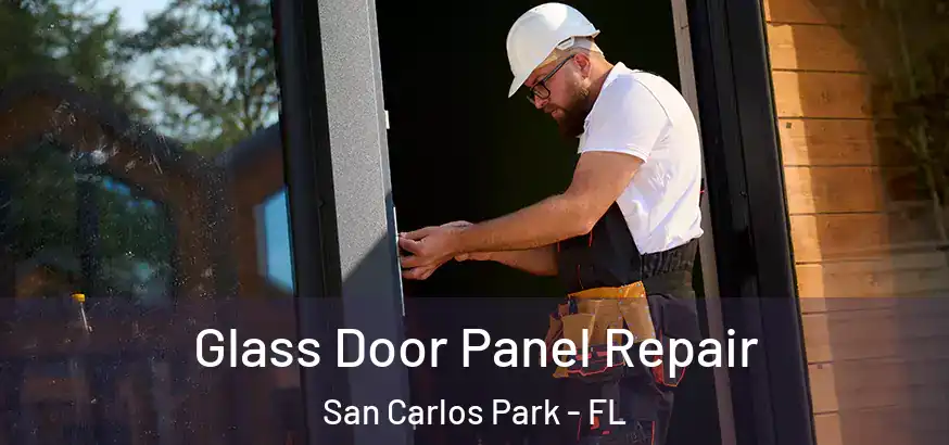 Glass Door Panel Repair San Carlos Park - FL