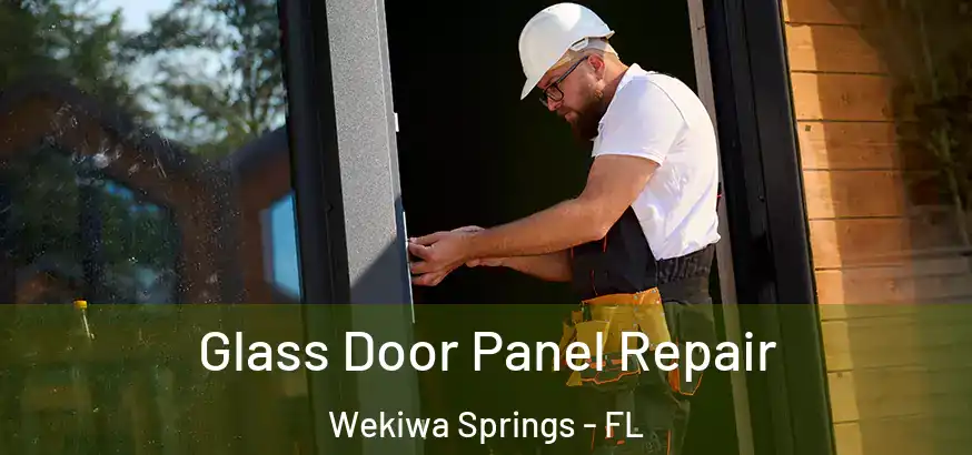  Glass Door Panel Repair Wekiwa Springs - FL