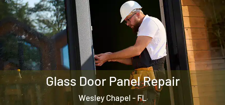  Glass Door Panel Repair Wesley Chapel - FL