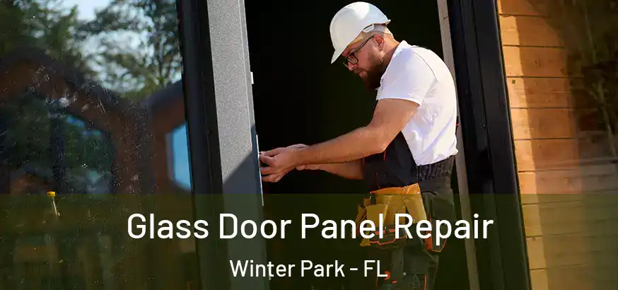 Glass Door Panel Repair Winter Park - FL