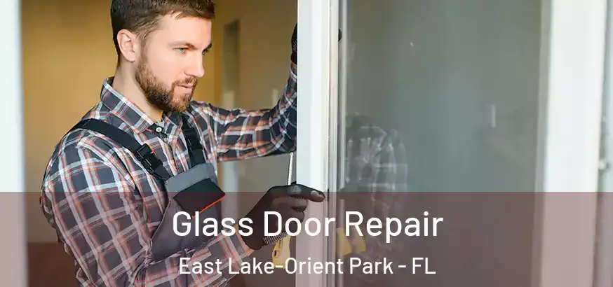 Glass Door Repair East Lake-Orient Park - FL