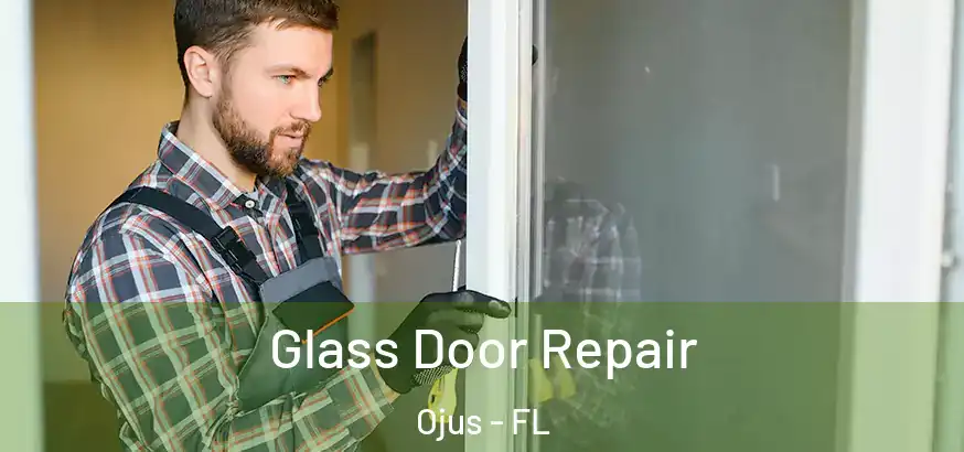  Glass Door Repair Ojus - FL